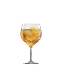 Gin & Tonic Cocktail “copa” Glass 2 Pack Orange Cocktail