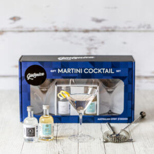 Martini cocktail, martini glassware, ready to mix martini, Speigelau, Perfect Serve